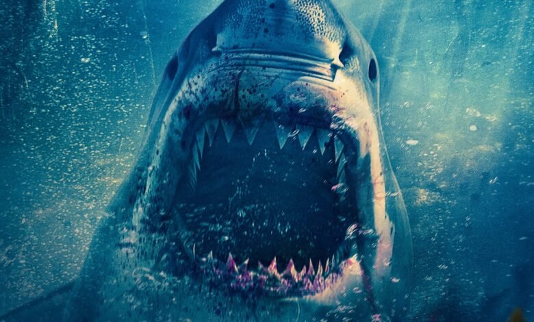 Fear Below 2025 HDTC 1080p WEB-DL AAC x264 Skyflickz