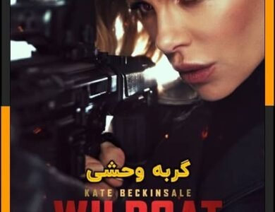 Wildcat 2025 HDTC 1080p WEB-DL AAC x264 Skyflickz