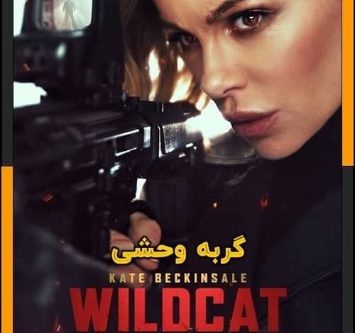 Wildcat 2025 HDTC 1080p WEB-DL AAC x264 Skyflickz