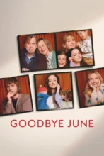 Goodbye June 2025 HDTC WEB-DL AAC x264 Skyflickz
