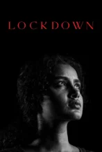 Lockdown 2026 HD 1080p WEB-DL AAC x264 Skyflickz